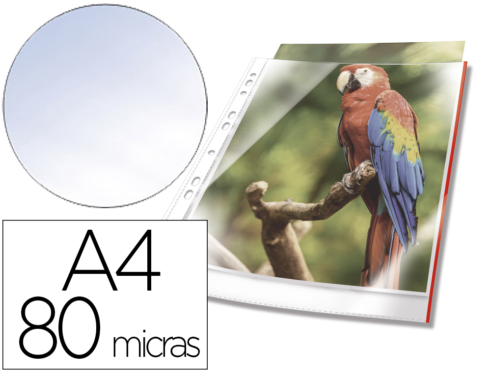 BOLSA CATALOGO DURABLE PREMIUM DIN A4 POLIPROPILENO 80 MC CRISTAL COM BORDA COR VERMELHO BOLSA DE 10 UNIDADES