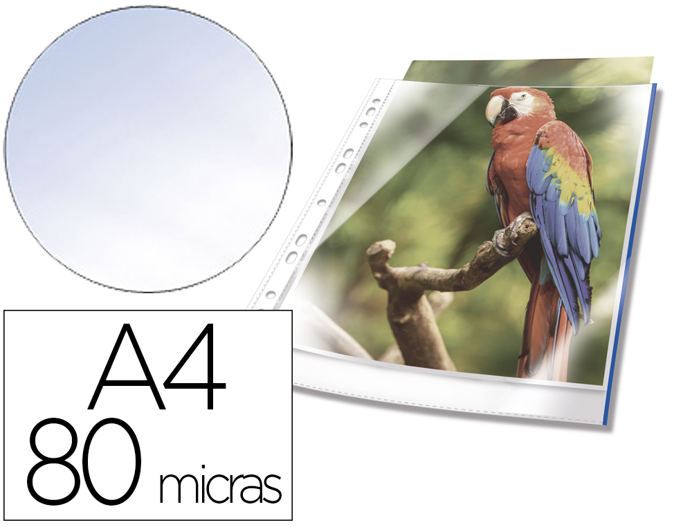 BOLSA CATALOGO DURABLE PREMIUM DIN A4 POLIPROPILENO 80 MC CRISTAL COM BORDA COR AZUL BOLSA DE 10 UNIDADES