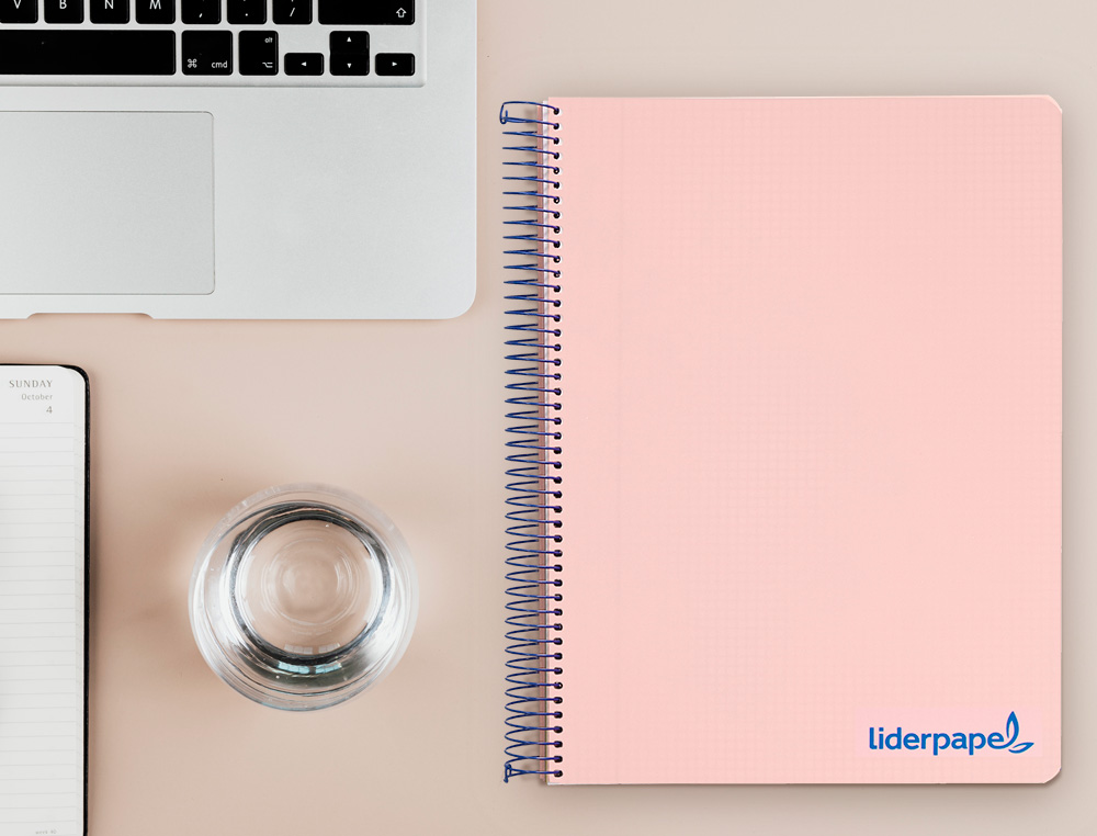 CADERNO ESPIRAL LIDERPAPEL WONDER MICRO DIN A4 CAPA PLASTICO 120 F 90 GR QUADRICULA 5 MM 5 BANDAS DE CORES 4 FUROS ROSA