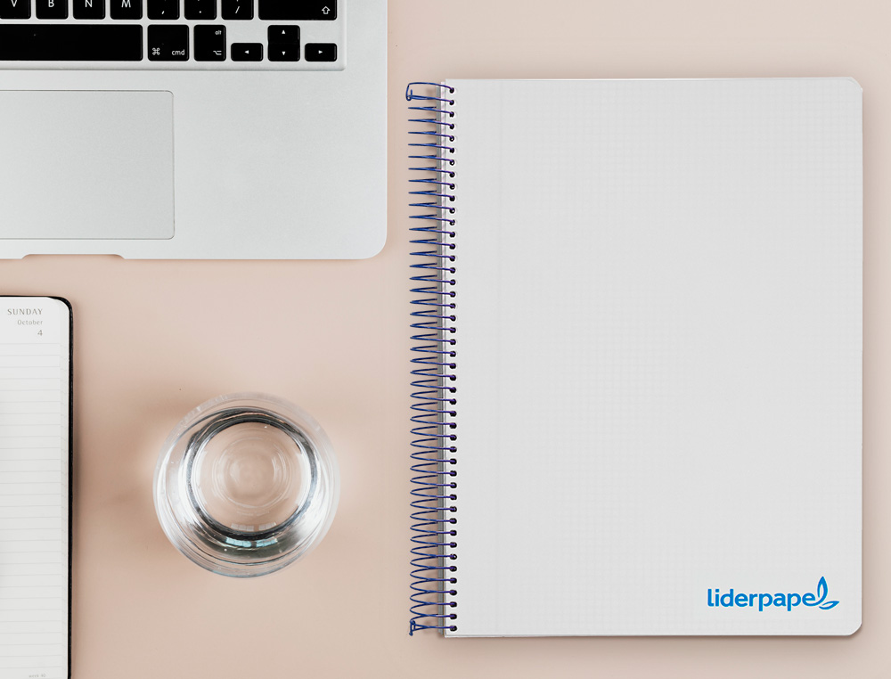 CADERNO ESPIRAL LIDERPAPEL WONDER MICRO DIN A4 CAPA PLASTICO 120 F 90 GR QUADRICULA 5 MM 5 BANDAS DE CORES 4 FUROS TURQU