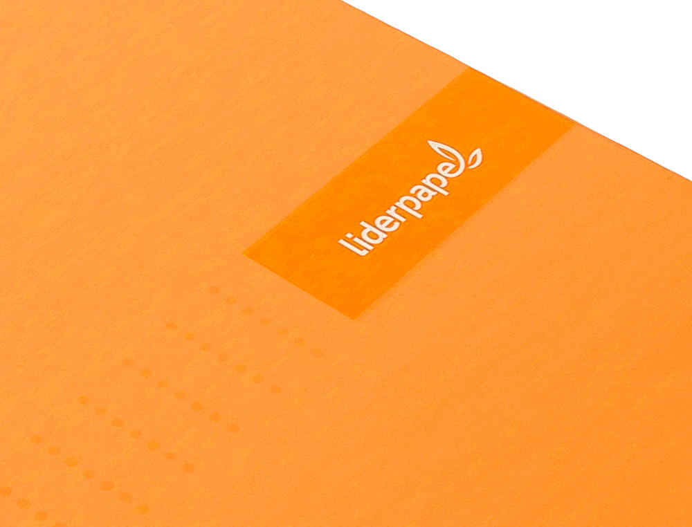 CADERNO ESPIRAL LIDERPAPEL CRAFTY MICRO DIN A5 CAPA FORRADA 120 F 90 GR QUADRICULA 5MM 5 BANDAS DE CORES 6 FUROS COR LAR