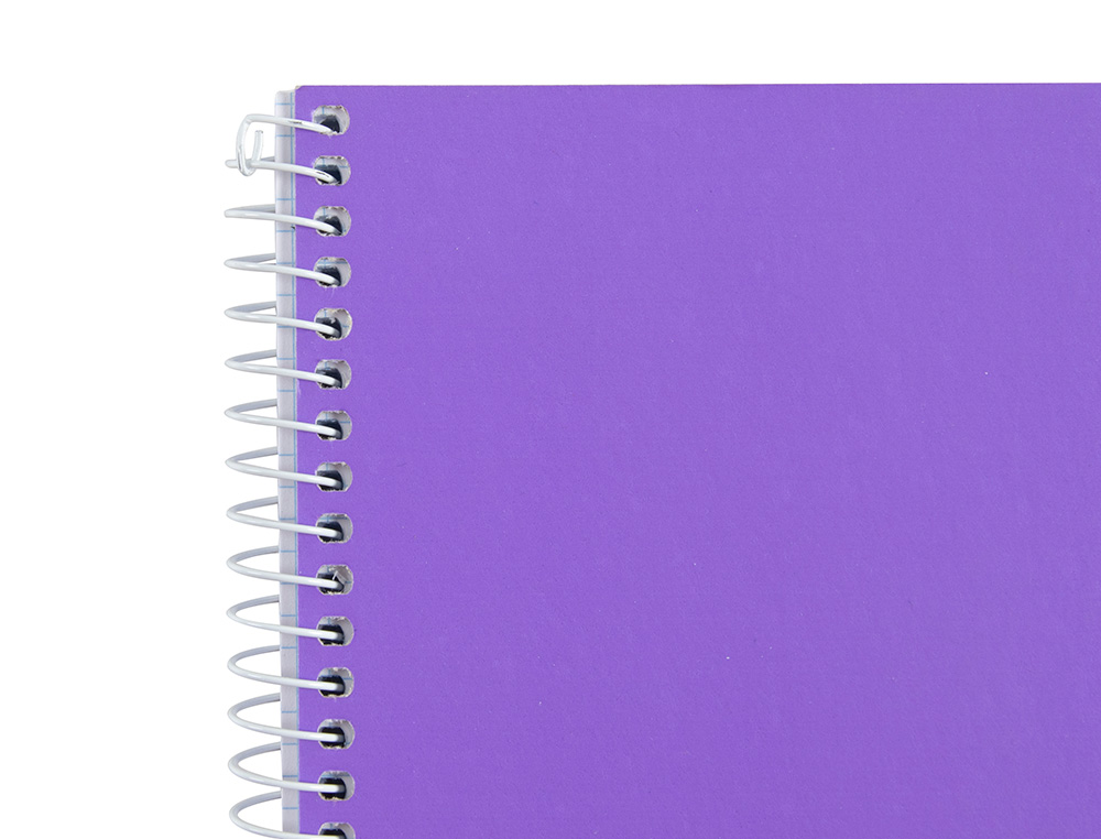 CADERNO ESPIRAL LIDERPAPEL DIN A4 WITTY CAPA DURA 140 F 75GR QUADRICULA 5MM 5 BANDAS DE CORES 4 FUROS CORES SORTIDAS