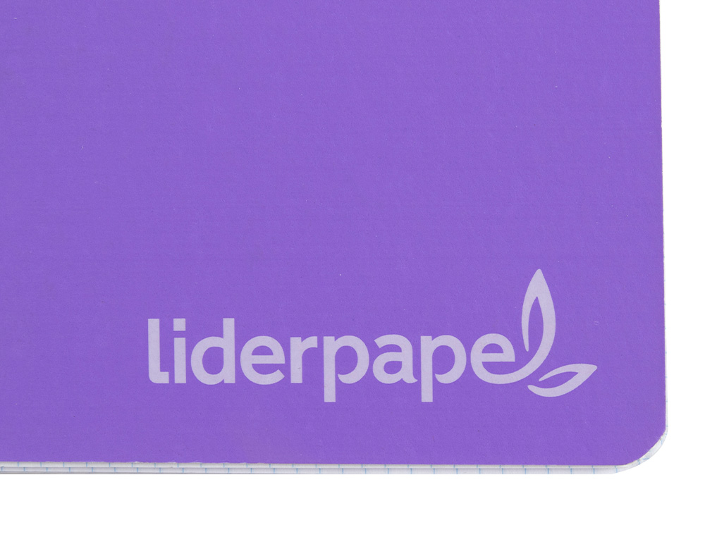 CADERNO ESPIRAL LIDERPAPEL DIN A4 WITTY CAPA DURA 140 F 75GR QUADRICULA 5MM 5 BANDAS DE CORES 4 FUROS CORES SORTIDAS