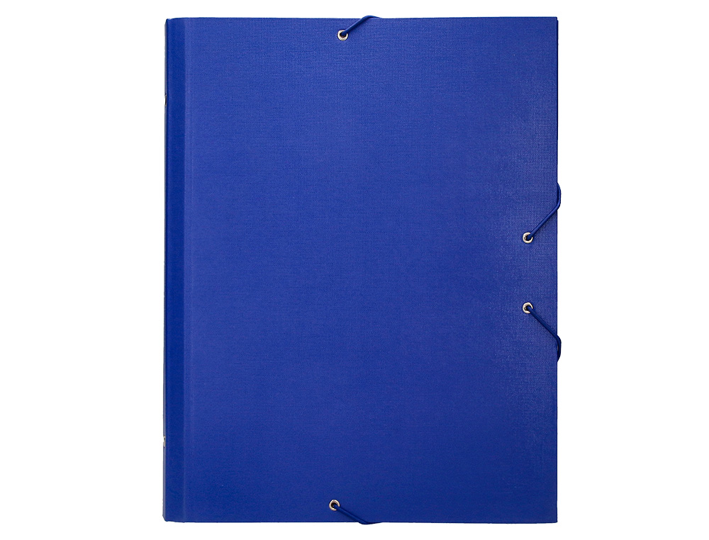 PASTA CLASSIFICADORA LIDERPAPEL COM 12 DEPARTAMENTOS AZUL