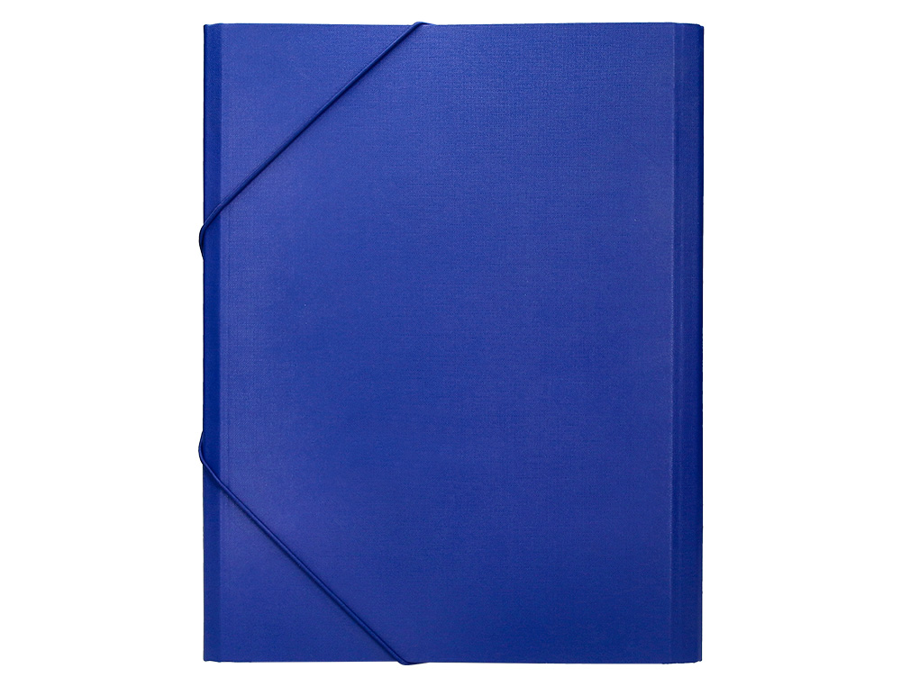 PASTA CLASSIFICADORA LIDERPAPEL COM 12 DEPARTAMENTOS AZUL