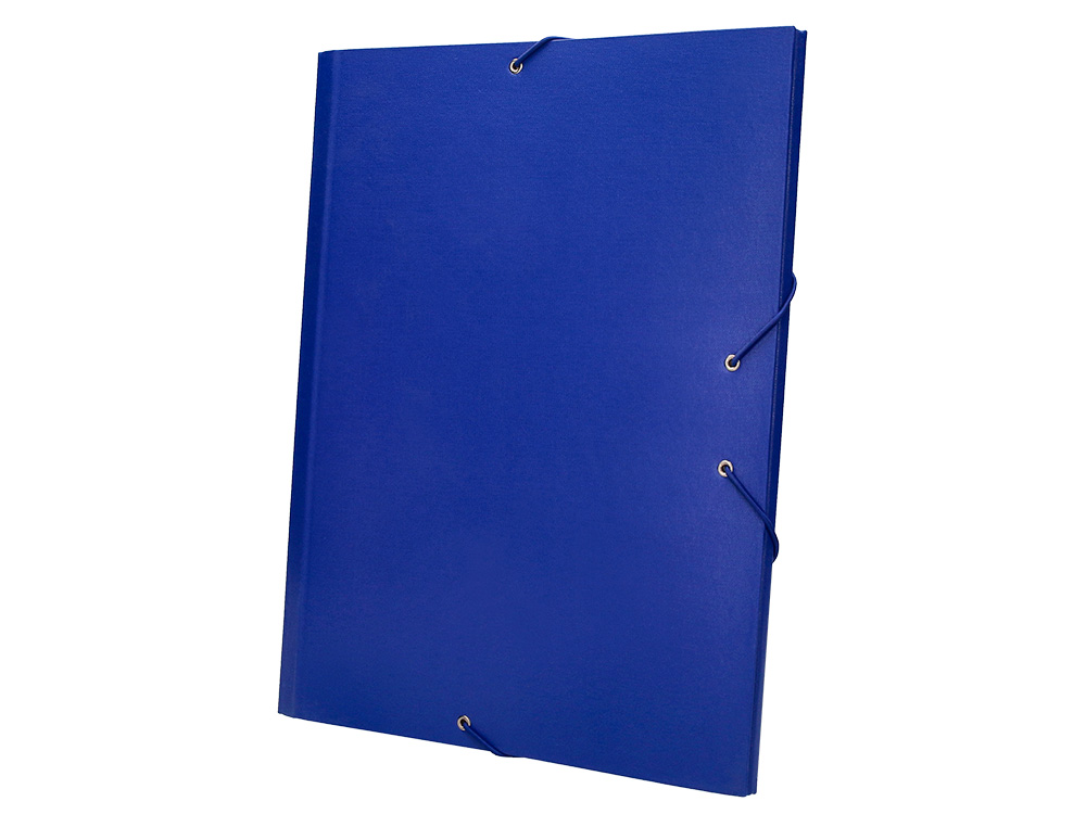 PASTA CLASSIFICADORA LIDERPAPEL COM 12 DEPARTAMENTOS AZUL