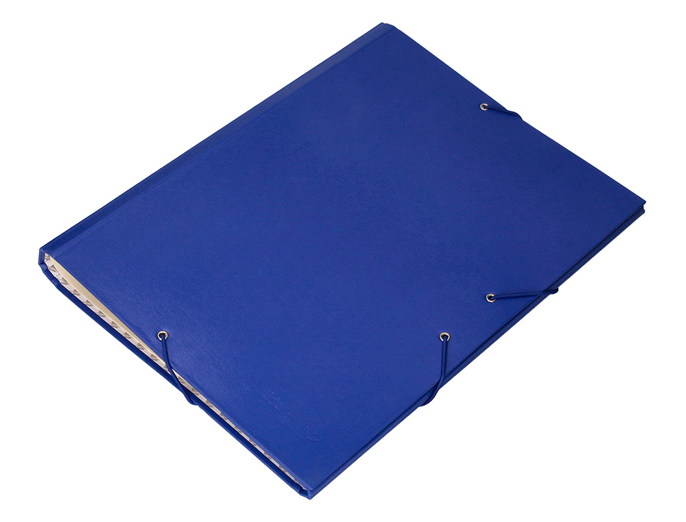 PASTA CLASSIFICADORA LIDERPAPEL COM 12 DEPARTAMENTOS AZUL