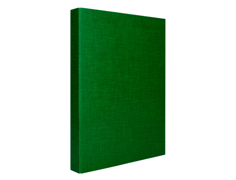 CAPA LIDERPAPEL PAPER COAT 4 ANEIS 40 MM FORRO PVC FOLIO VERDE
