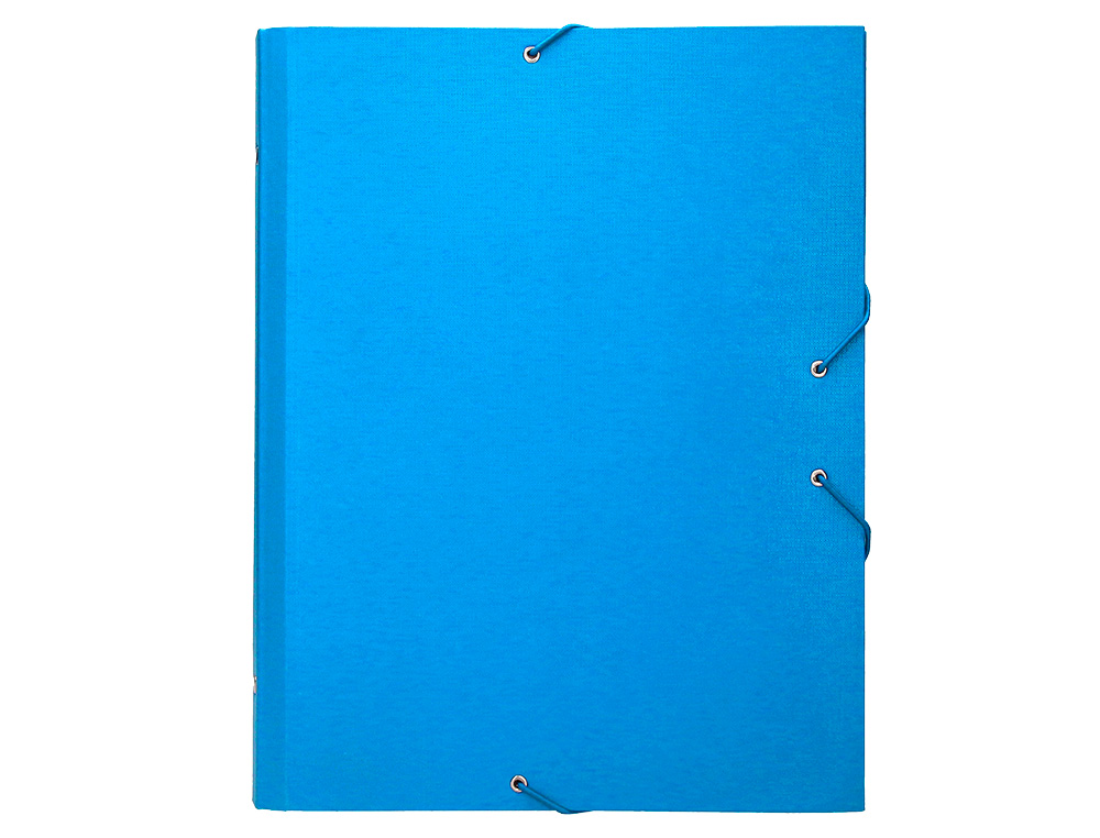PASTA CLASSIFICADORA LIDERPAPEL COM 12 DEPARTAMENTOS CELESTE