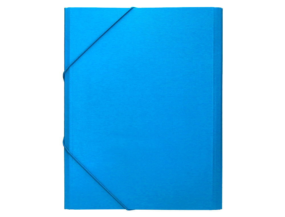 PASTA CLASSIFICADORA LIDERPAPEL COM 12 DEPARTAMENTOS CELESTE