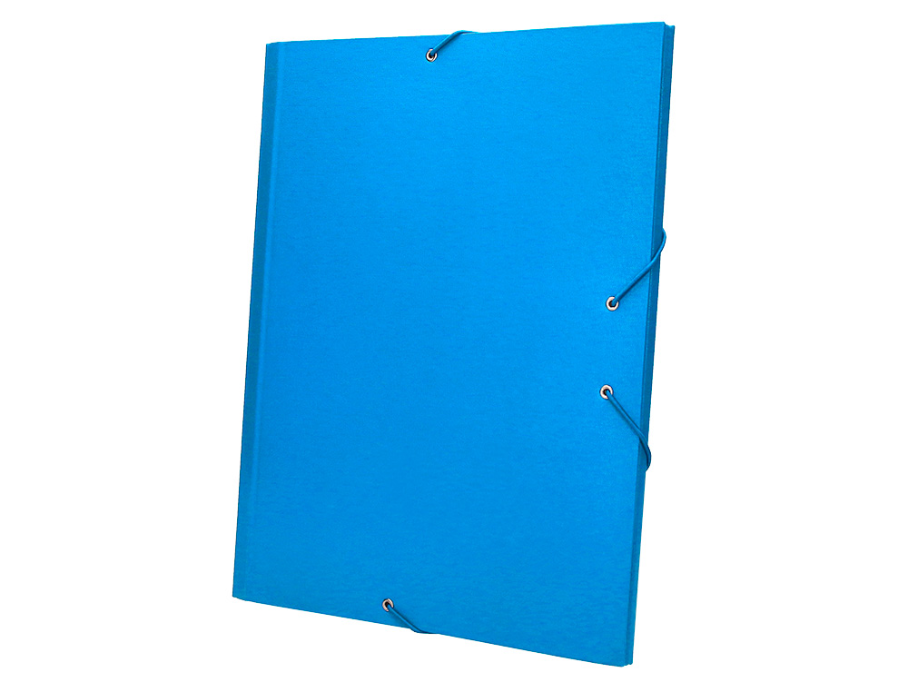 PASTA CLASSIFICADORA LIDERPAPEL COM 12 DEPARTAMENTOS CELESTE