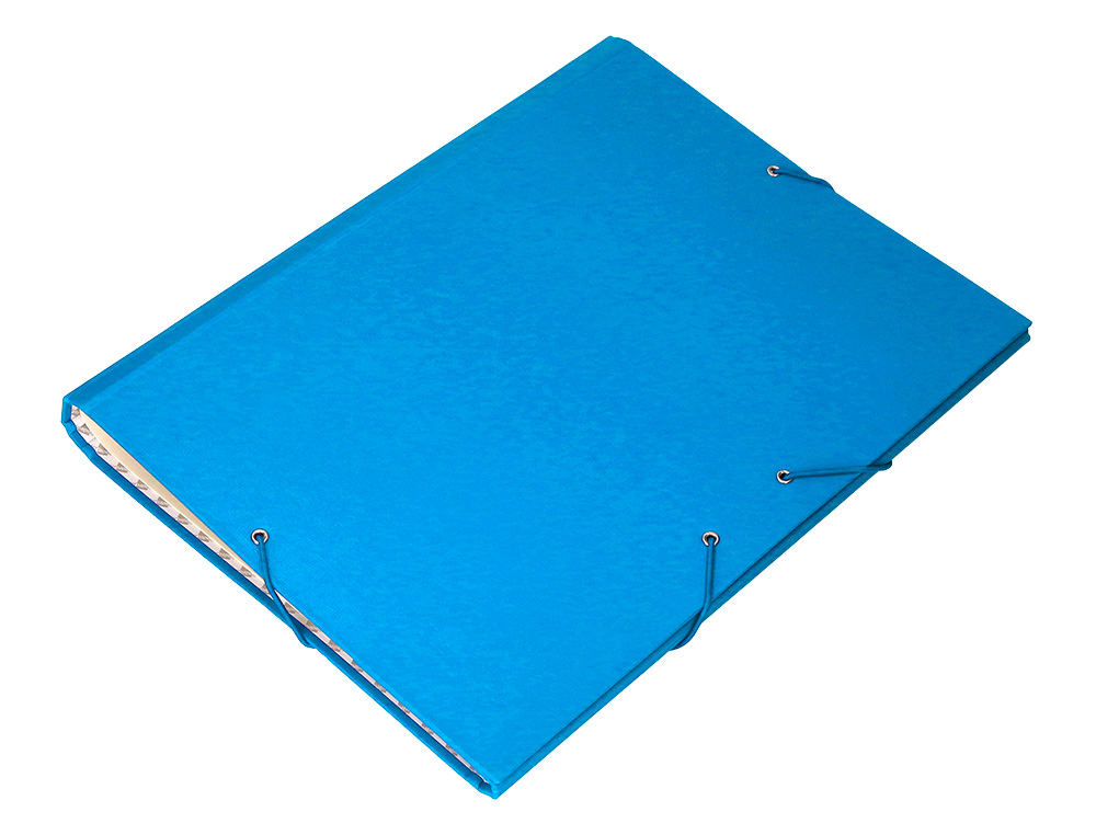 PASTA CLASSIFICADORA LIDERPAPEL COM 12 DEPARTAMENTOS CELESTE