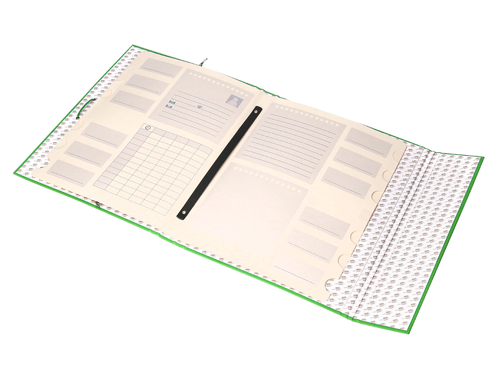 PASTA CLASSIFICADORA LIDERPAPEL COM 12 DEPARTAMENTOS VERDE
