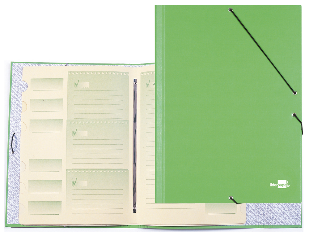 PASTA CLASSIFICADORA LIDERPAPEL COM 12 DEPARTAMENTOS VERDE