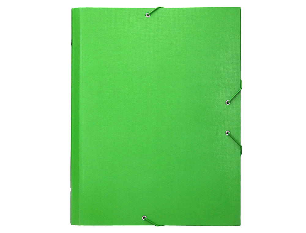 PASTA CLASSIFICADORA LIDERPAPEL COM 12 DEPARTAMENTOS VERDE