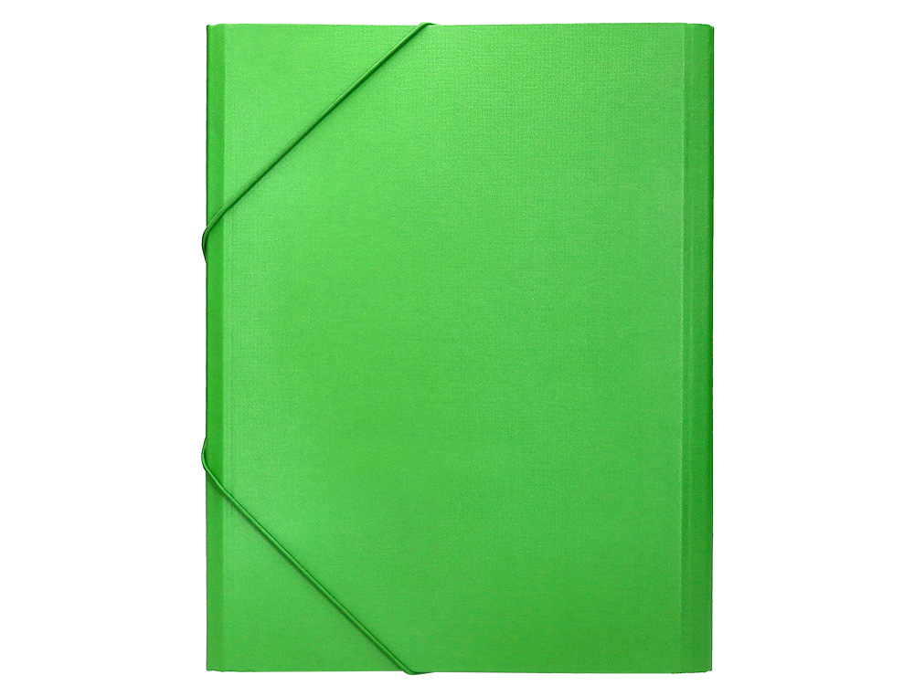 PASTA CLASSIFICADORA LIDERPAPEL COM 12 DEPARTAMENTOS VERDE