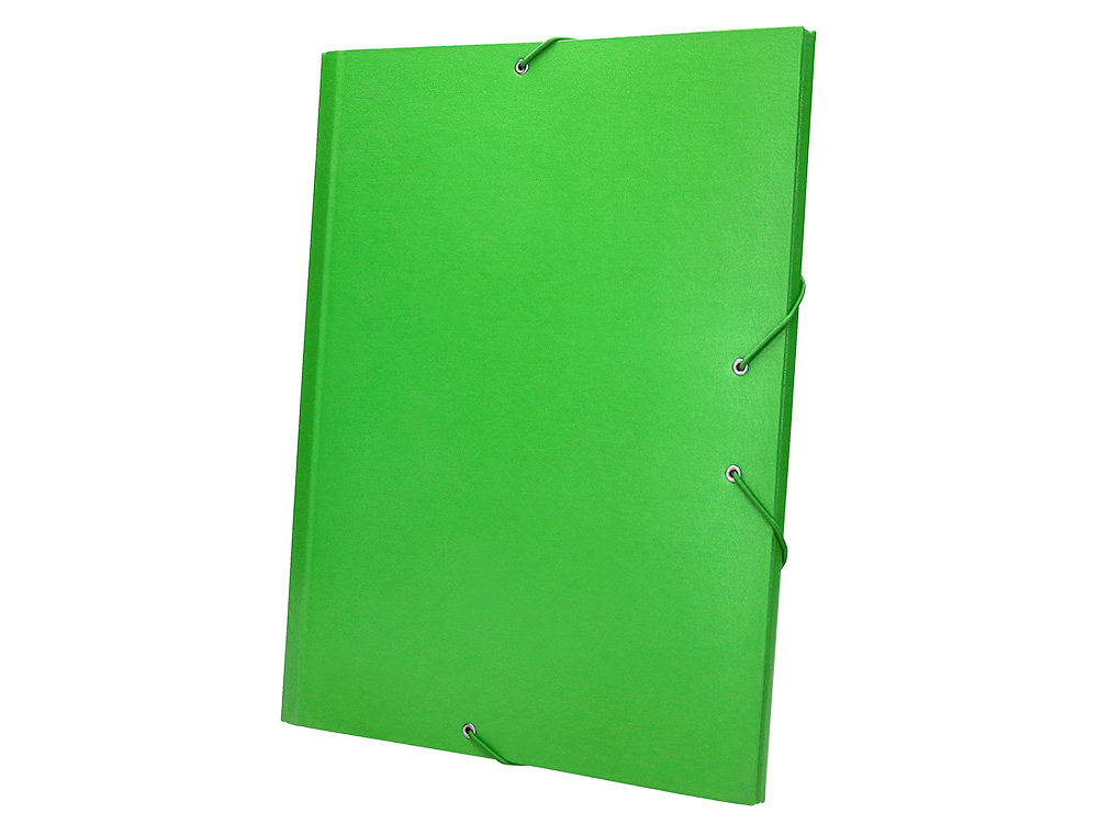 PASTA CLASSIFICADORA LIDERPAPEL COM 12 DEPARTAMENTOS VERDE