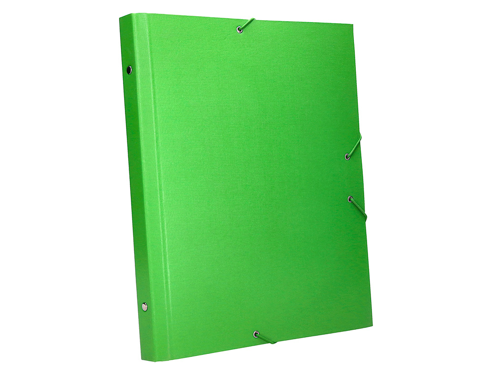 PASTA CLASSIFICADORA LIDERPAPEL COM 12 DEPARTAMENTOS VERDE