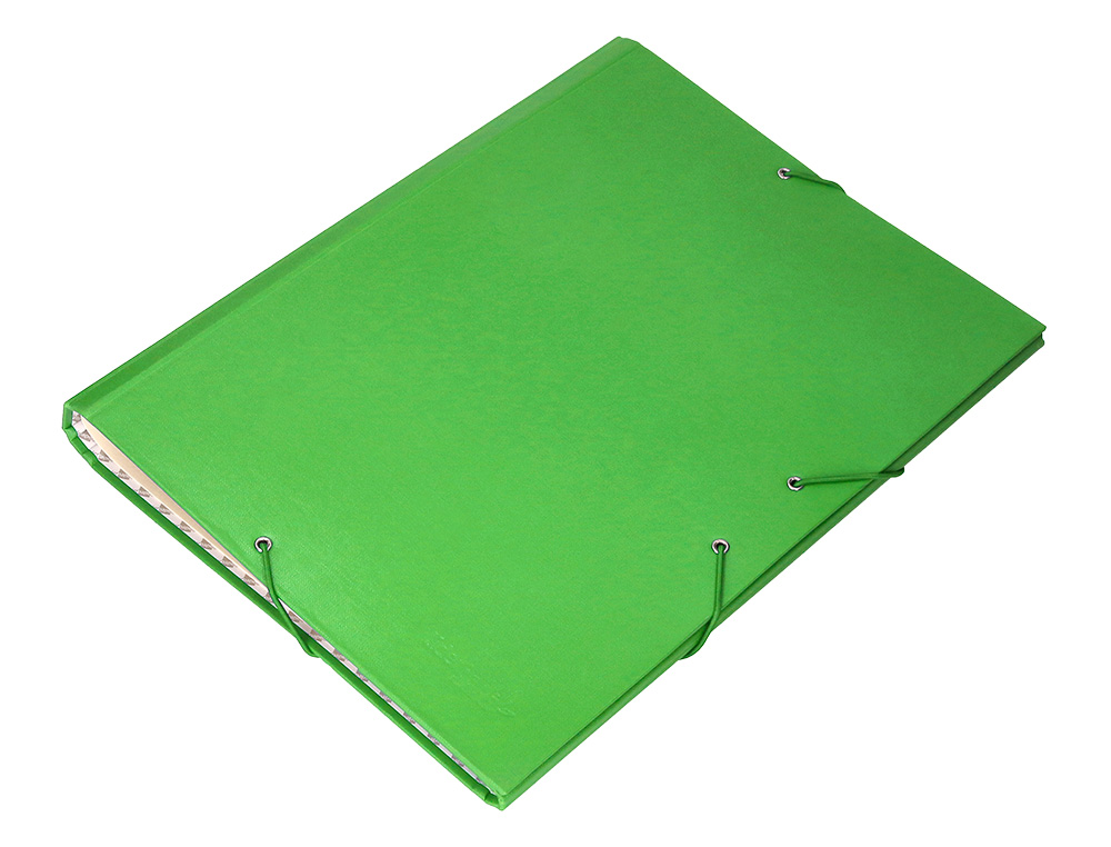 PASTA CLASSIFICADORA LIDERPAPEL COM 12 DEPARTAMENTOS VERDE