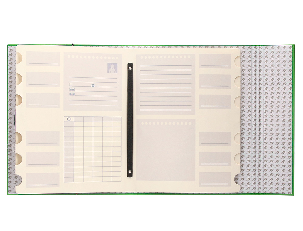 PASTA CLASSIFICADORA LIDERPAPEL COM 12 DEPARTAMENTOS VERDE