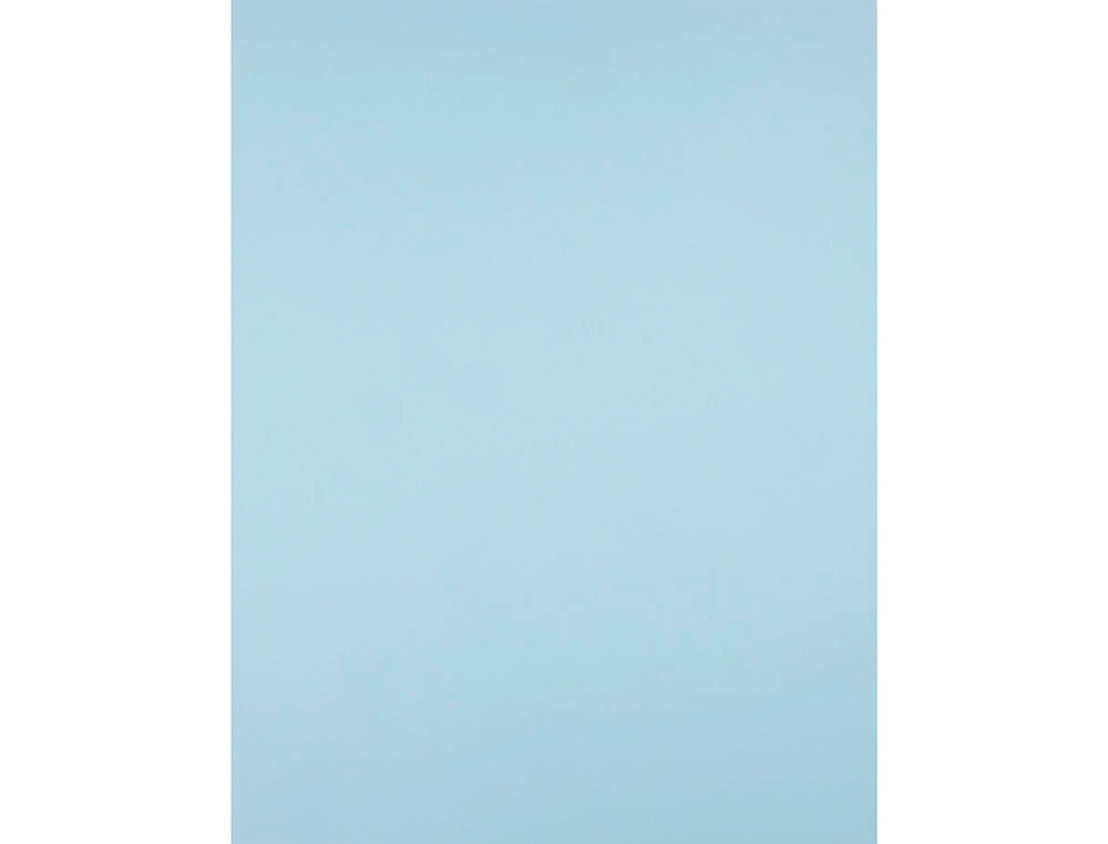 CARTOLINA LIDERPAPEL 50X65 CM 180 GR AZUL