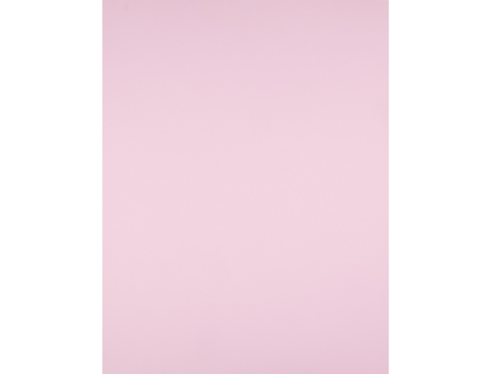 CARTOLINA LIDERPAPEL 50X65 CM 180 GR ROSA