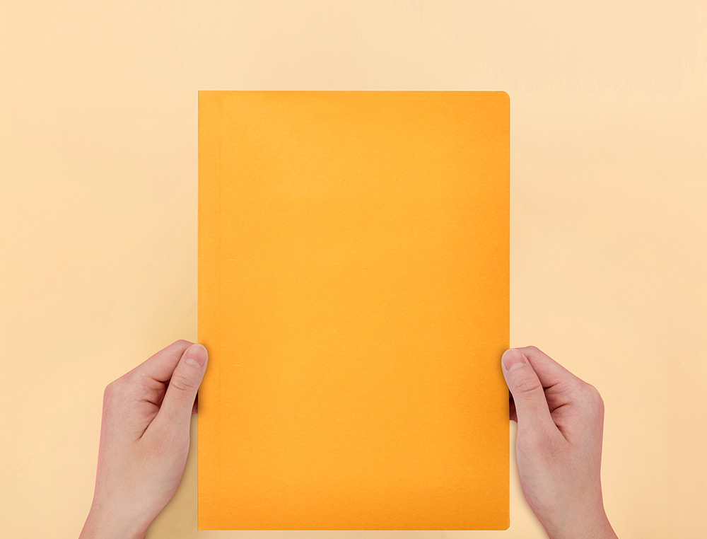 CLASSIFICADOR LIDERPAPEL EM CARTOLINA DE 180 GRS, FOLIO, LARANJA INTENSO
