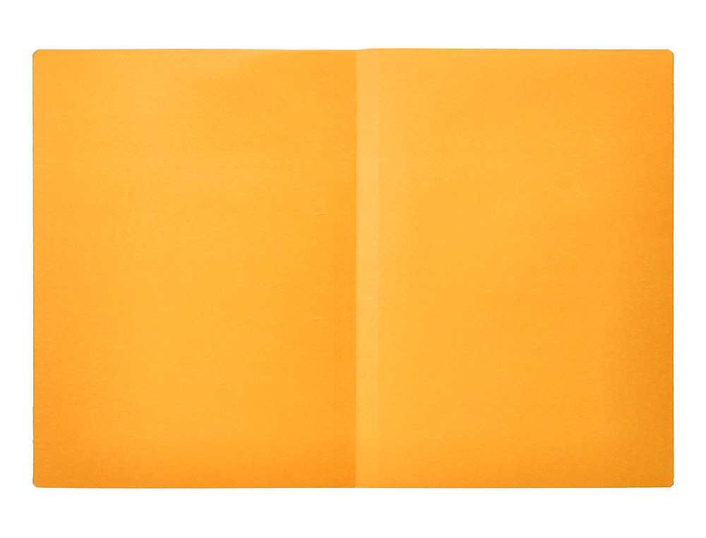 CLASSIFICADOR LIDERPAPEL EM CARTOLINA DE 180 GRS, FOLIO, LARANJA INTENSO