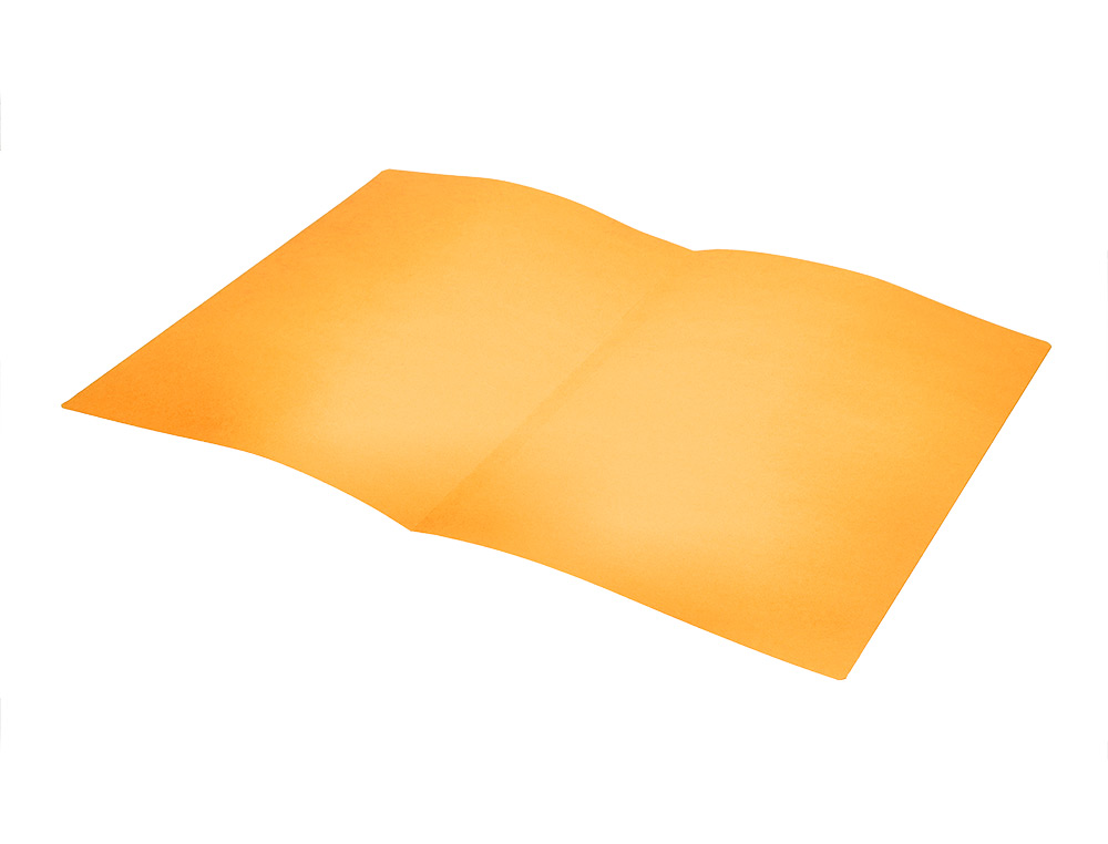 CLASSIFICADOR LIDERPAPEL EM CARTOLINA DE 180 GRS, FOLIO, LARANJA INTENSO