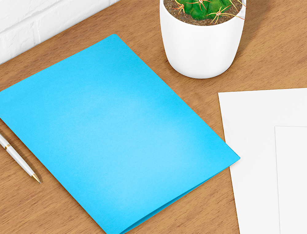 CLASSIFICADOR LIDERPAPEL EM CARTOLINA DE 180 GR DIN A4 CELESTE INTENSO