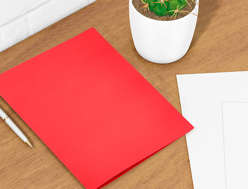 CLASSIFICADOR LIDERPAPEL EM CARTOLINA DE 180 GR DIN A4 VERMELHO INTENSO