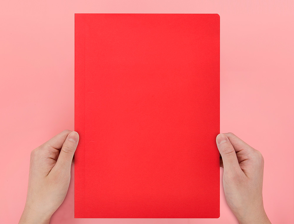 CLASSIFICADOR LIDERPAPEL EM CARTOLINA DE 180 GR DIN A4 VERMELHO INTENSO