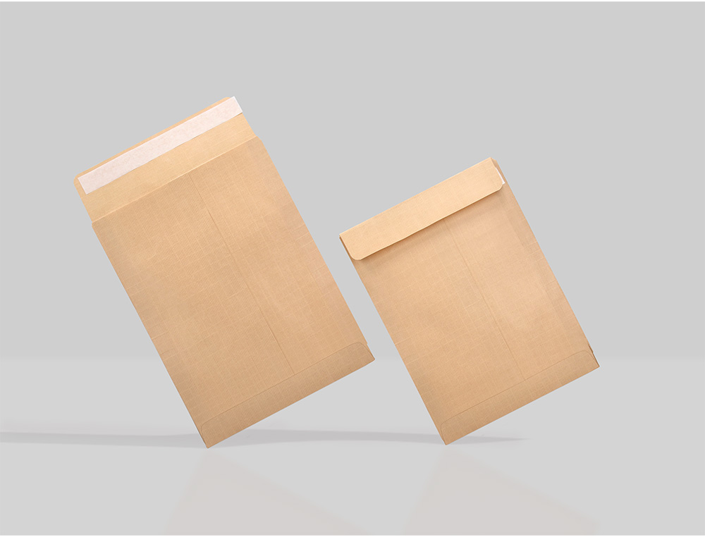 ENVELOPE LIDERPAPEL N.6 BOLSA QUARTO PROLONGADO CASTANHO 184X261 MM TIRA DE SILICONE PACK DE 250 UNIDADES