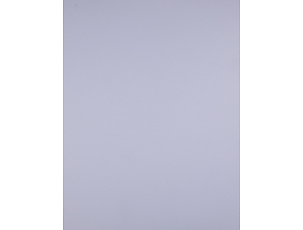 CARTOLINA LIDERPAPEL 50X65 CM 240 GR LILAS PACK DE 25 UNIDADES