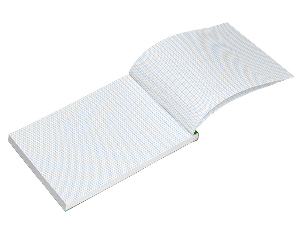 BLOCO DE APONTAMENTOS LIDERPAPEL QUAD 4 MM 80 FOLHAS 60 G/M2PERFURADO SEM CAPA