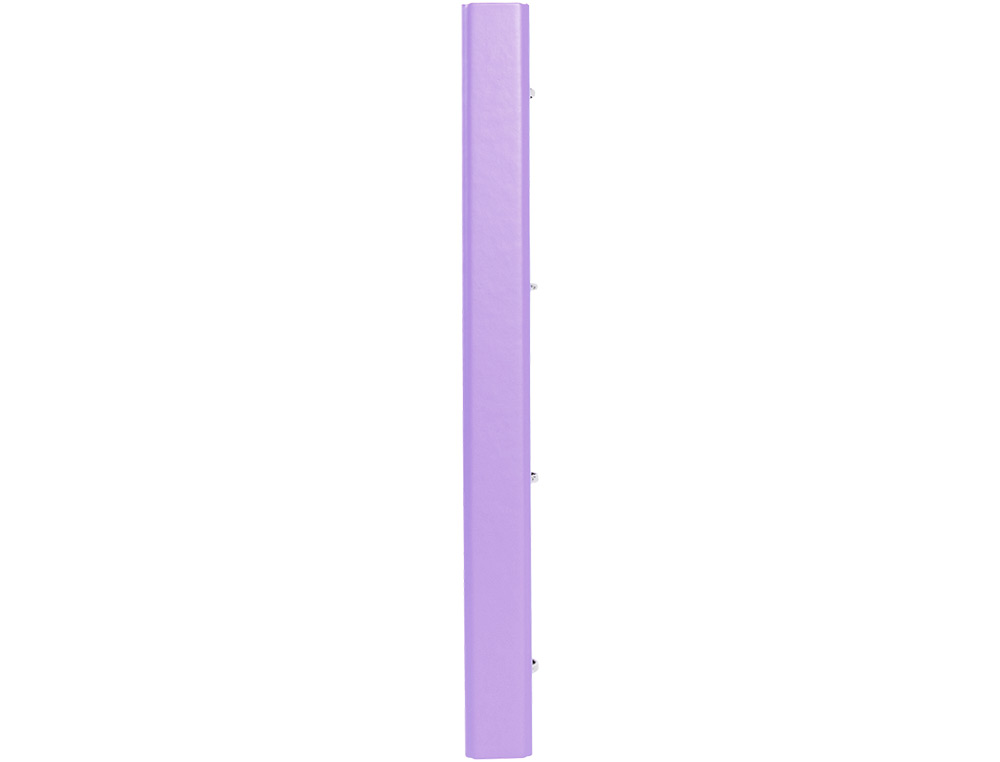 PASTA ANTARTIK COM RECARGA DIN A4 QUADRICULA 5MM FORRADA 4 ANEIS 25MM COR LAVANDA